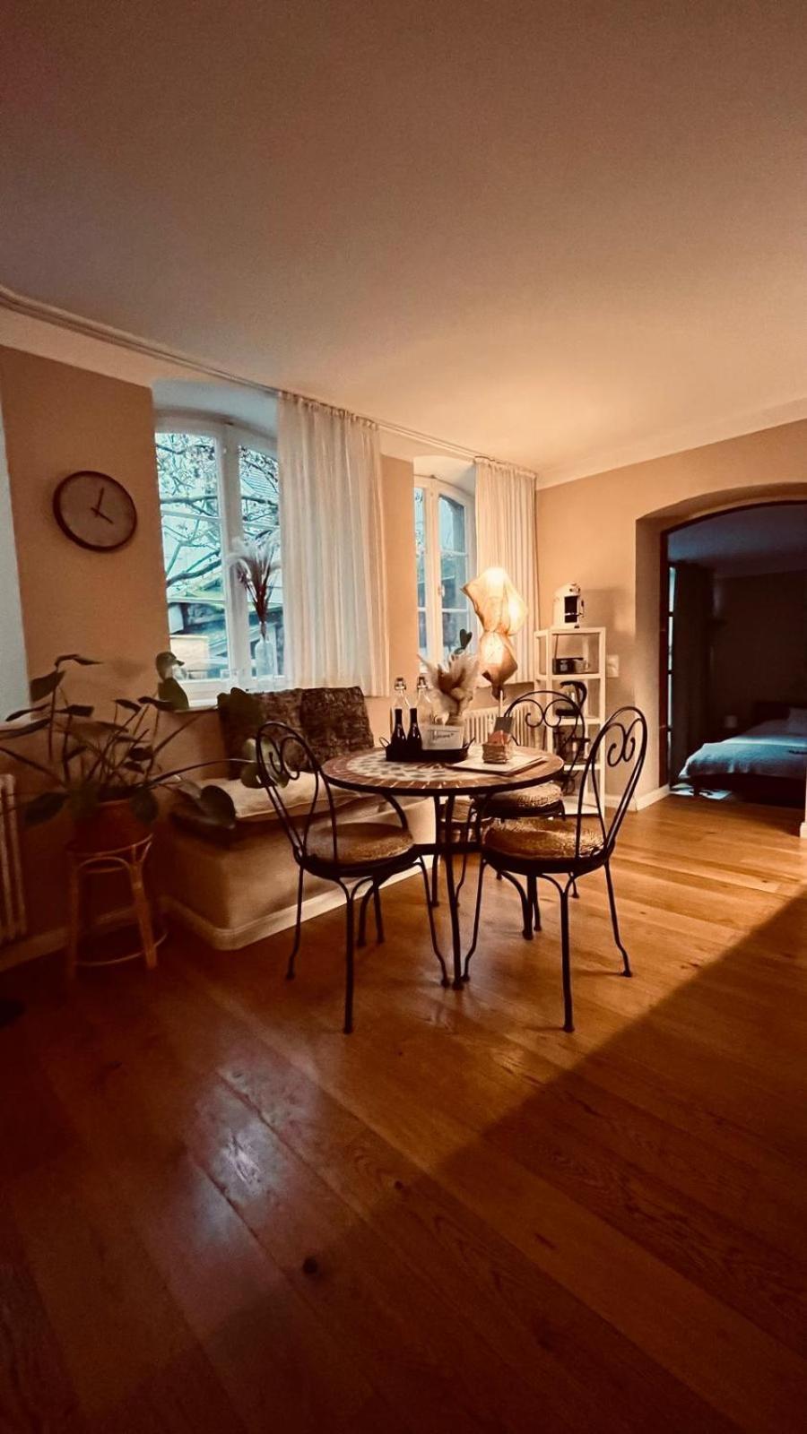 Apartment Am Schloss - Flair Saarbrücken Kültér fotó
